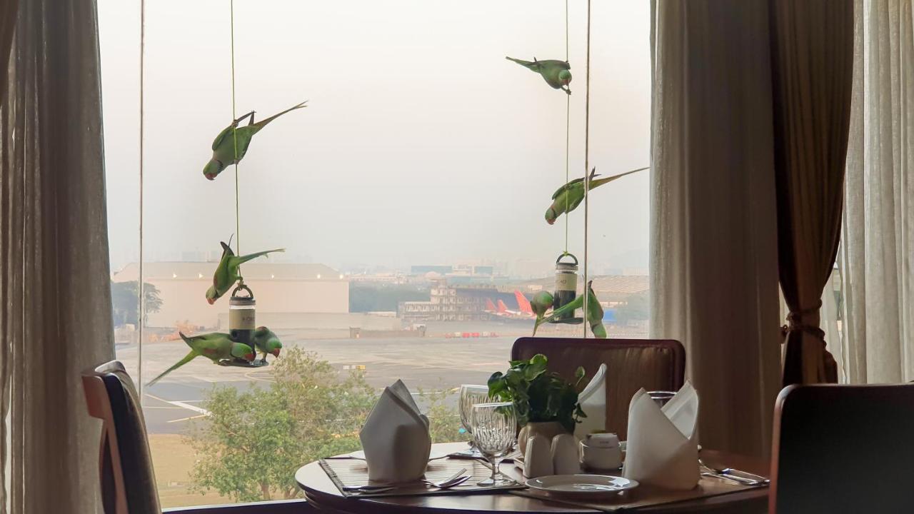 The Orchid Hotel Mumbai Vile Parle Екстериор снимка Parrots at the airport